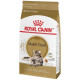 Royal Canin Maine Coon 31 для кошек крупных пород 2 кг.